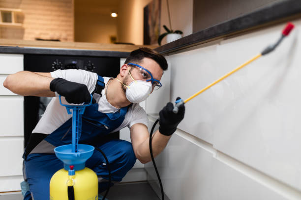 Best Exterminator Services  in Campton Hls, IL