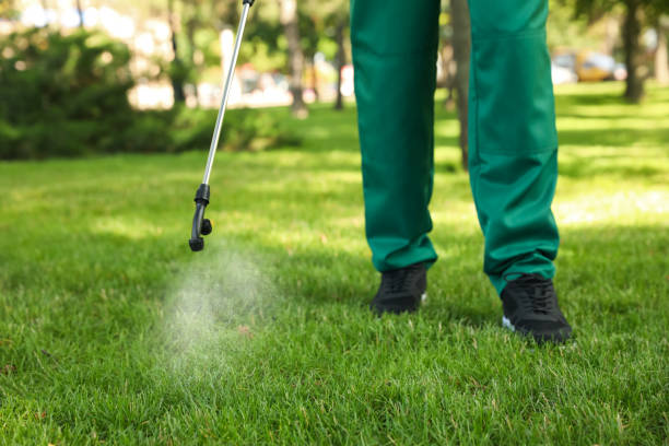 Best Best Pest Control Near Me  in Campton Hls, IL
