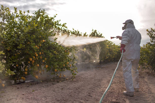 Best Pest Control Near Me  in Campton Hls, IL