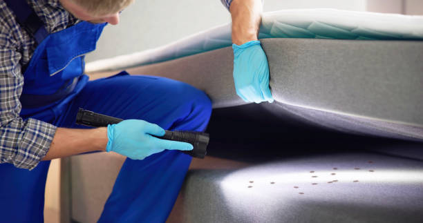 Best Pest Inspection Near Me  in Campton Hls, IL