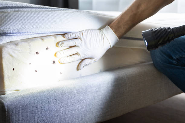 Reliable Campton Hills, IL Pest Control Solutions