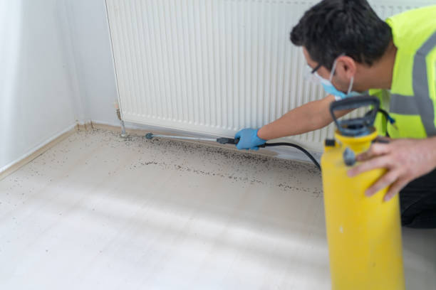 Best Pest Prevention Services  in Campton Hls, IL