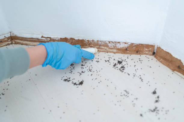 Pest Control for Restaurants in Campton Hills, IL