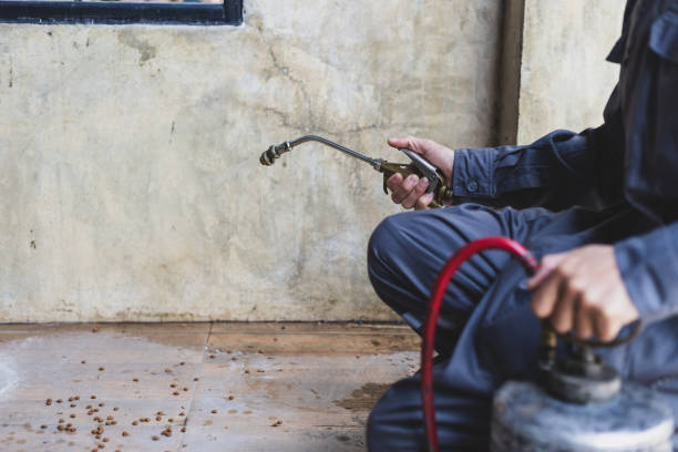 Best Local Pest Control Services  in Campton Hls, IL